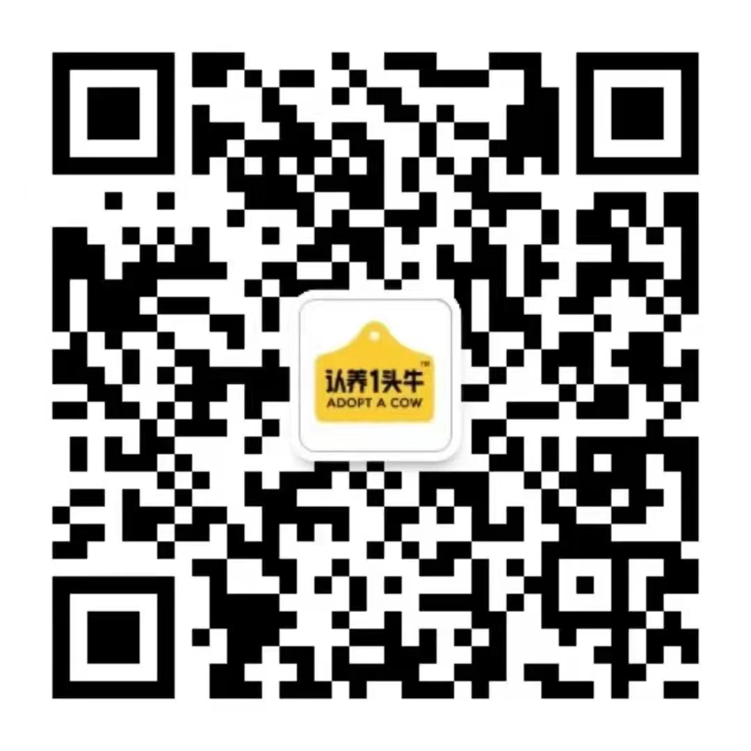 二维码2